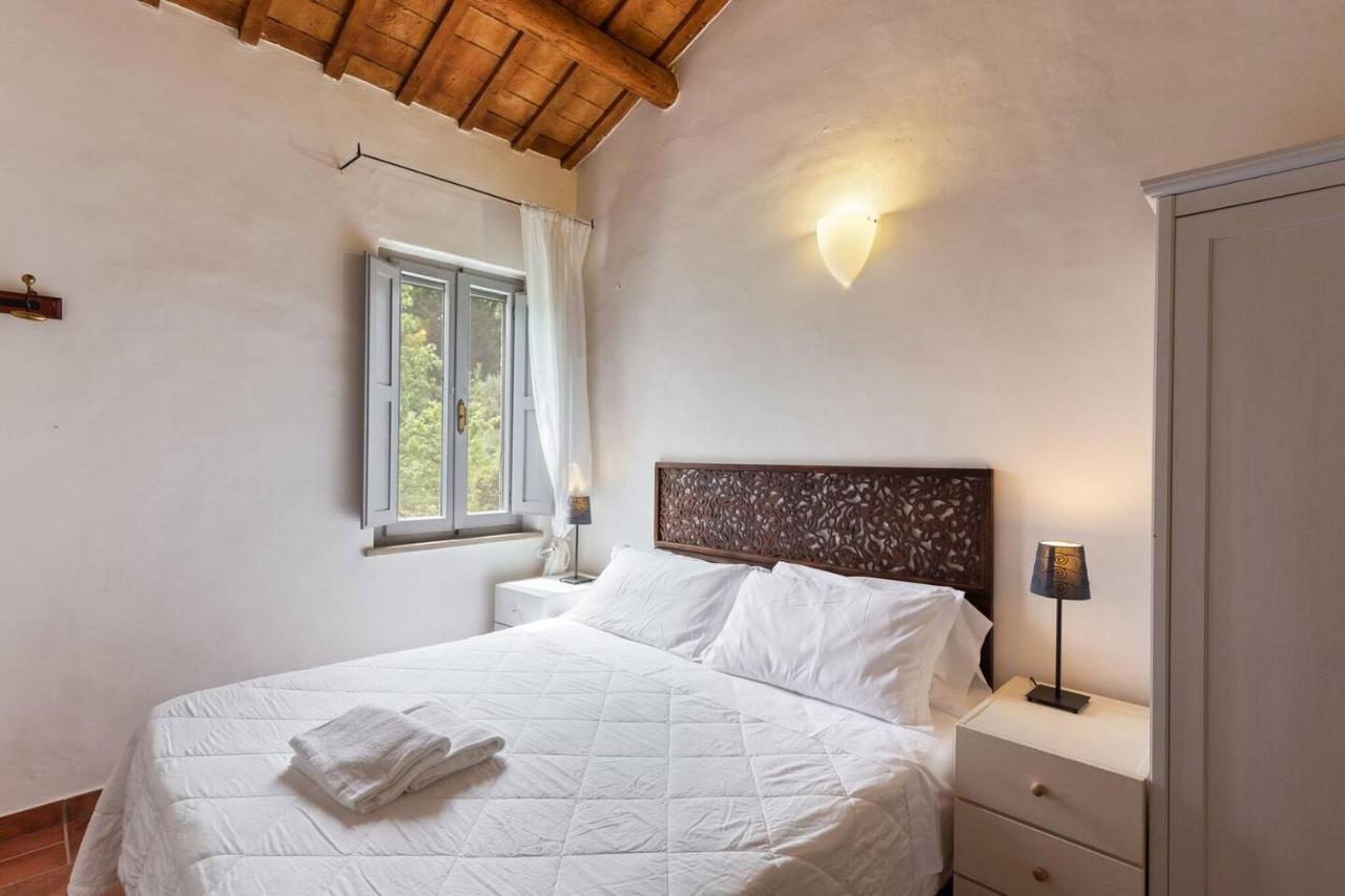 Grande Villa Storica Per Vacanze Con Giardino Privato E Piscina Ostra Eksteriør billede