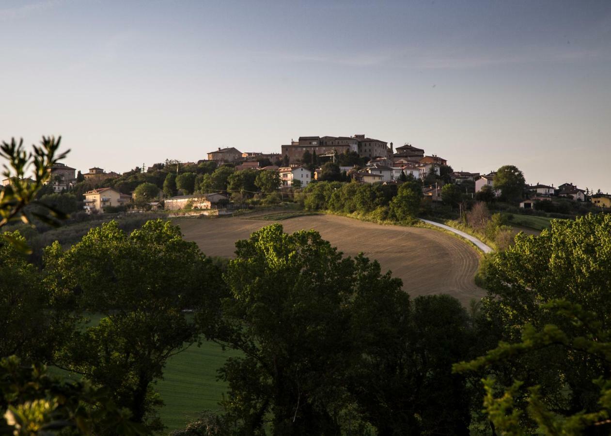Grande Villa Storica Per Vacanze Con Giardino Privato E Piscina Ostra Eksteriør billede