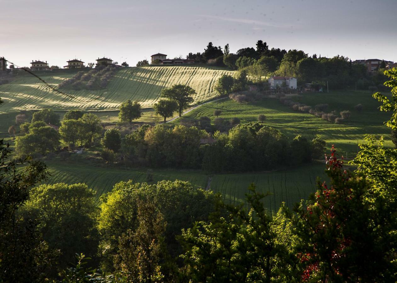Grande Villa Storica Per Vacanze Con Giardino Privato E Piscina Ostra Eksteriør billede