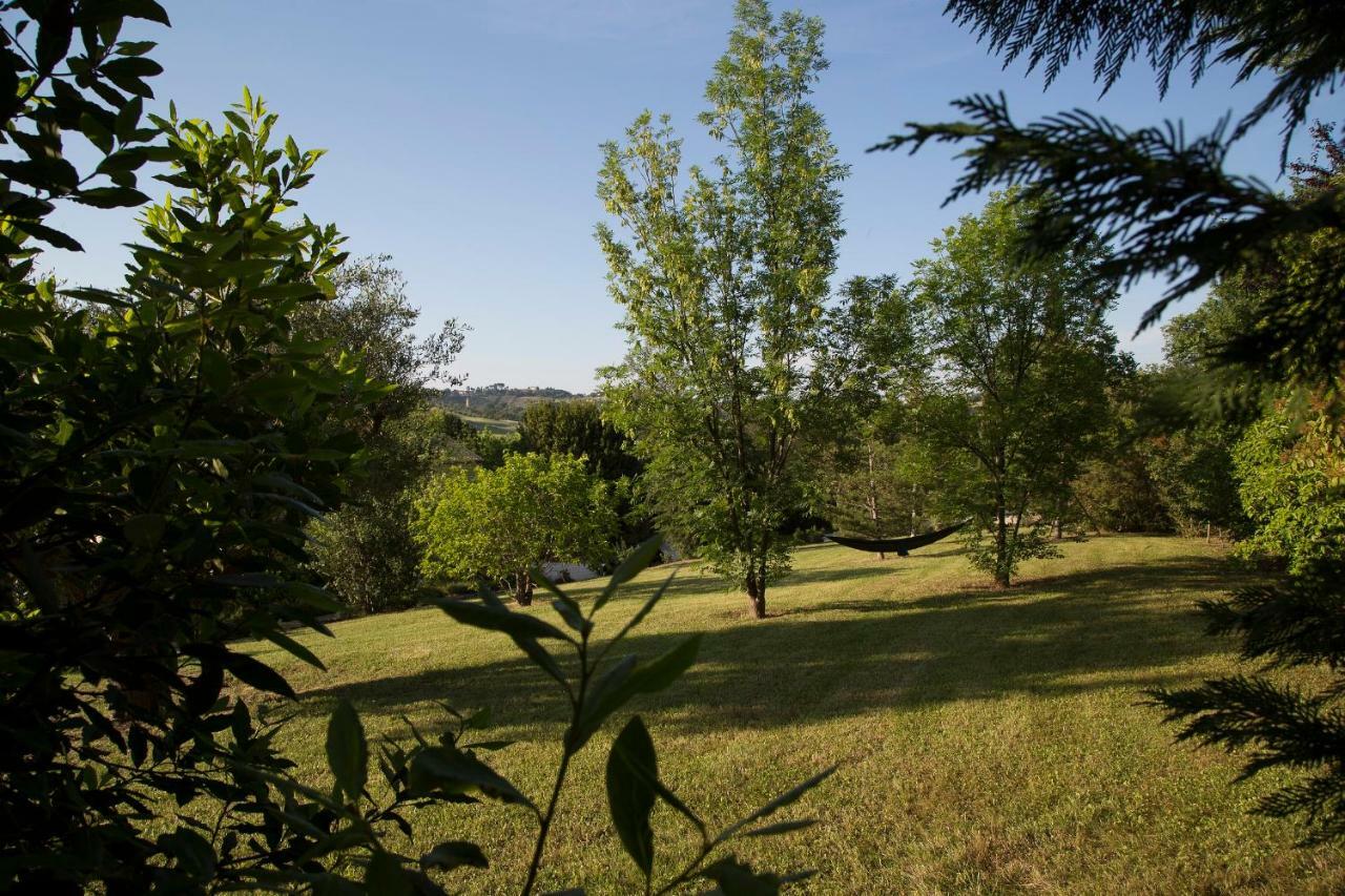 Grande Villa Storica Per Vacanze Con Giardino Privato E Piscina Ostra Eksteriør billede