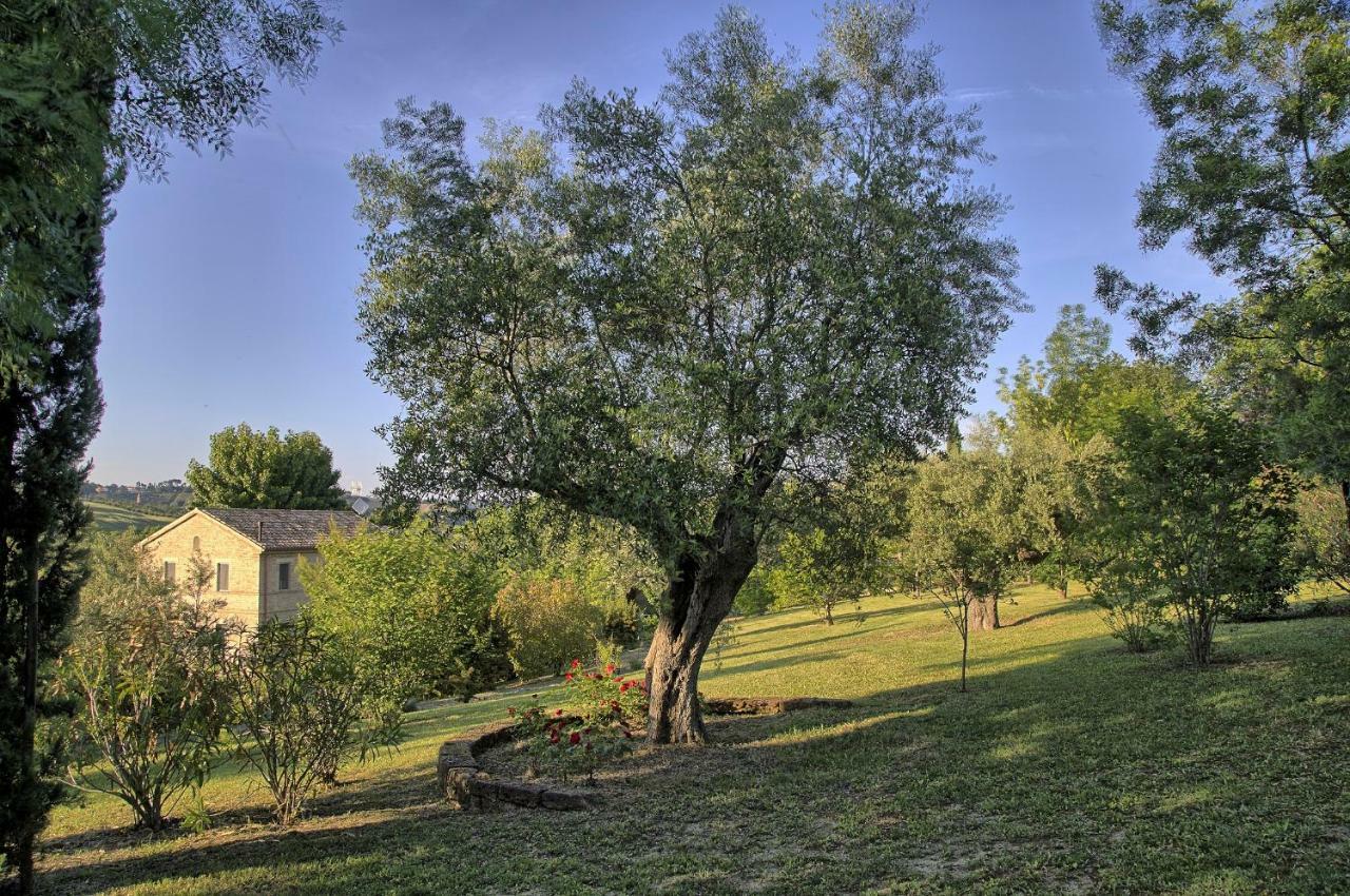 Grande Villa Storica Per Vacanze Con Giardino Privato E Piscina Ostra Eksteriør billede