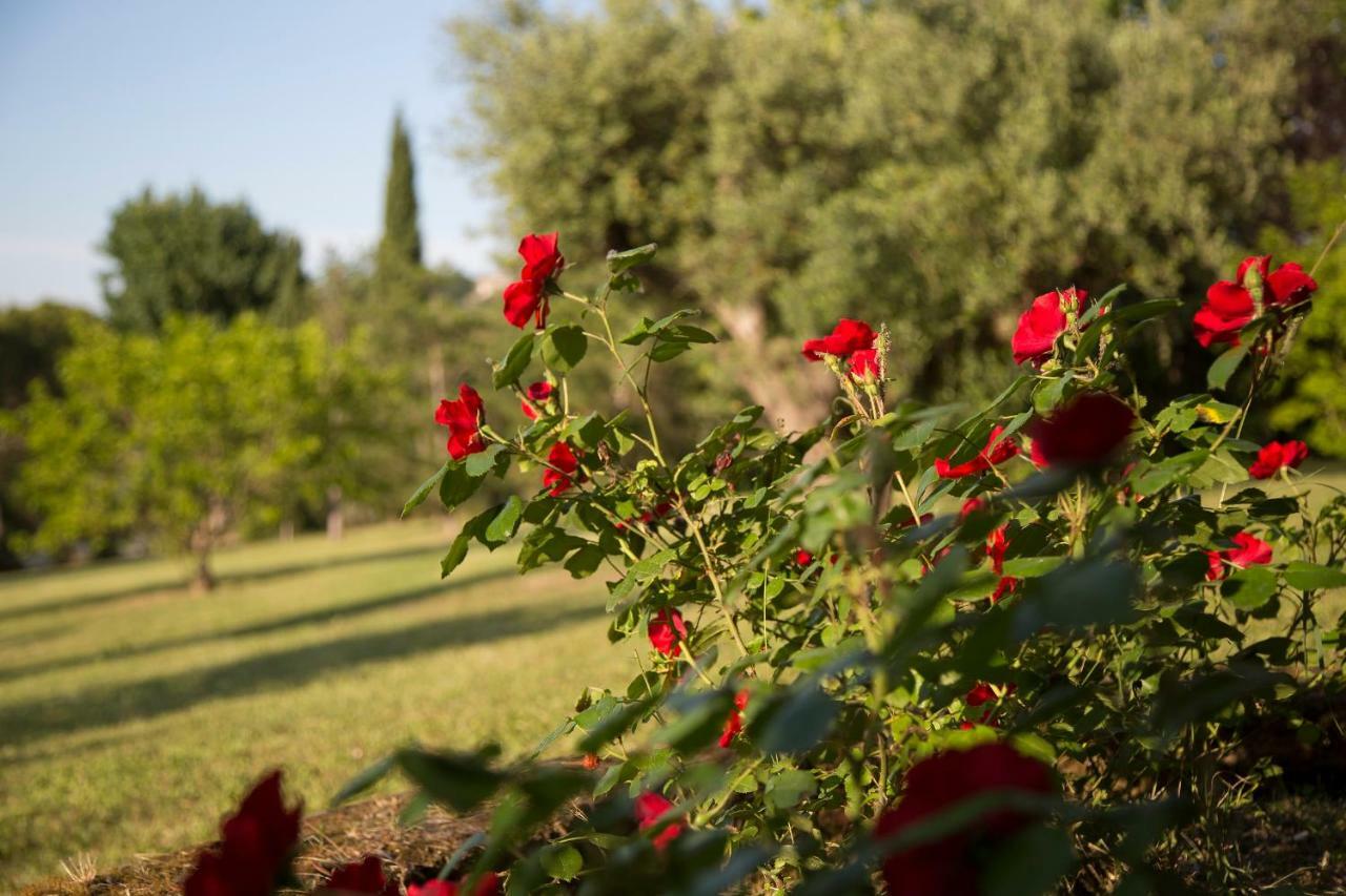 Grande Villa Storica Per Vacanze Con Giardino Privato E Piscina Ostra Eksteriør billede